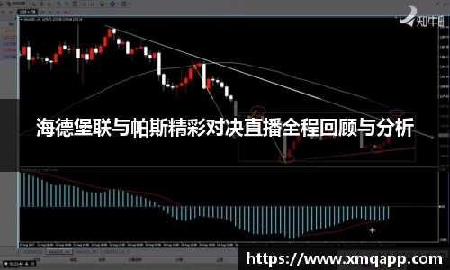 海德堡联与帕斯精彩对决直播全程回顾与分析